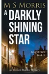 A Darkly Shining Star
