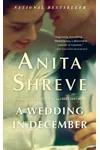 A Wedding in December