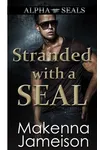 Stranded with a SEAL