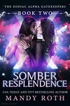 Somber Resplendence