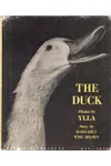 The Duck