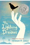 The Lightning Dreamer