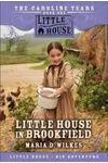 Little House in Brookfield