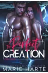 The Perfect Creation