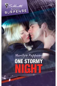 One Stormy Night
