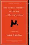 The Curious Incident of the Dog in the Night-Time
