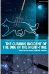 The Curious Incident of the Dog in the Night-Time: The Play