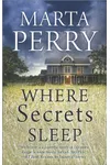 Where Secrets Sleep