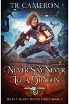 Never Say Never To A Dragon