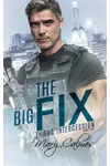 The Big Fix