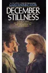 December Stillness