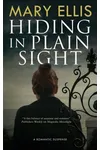 Hiding in Plain Sight