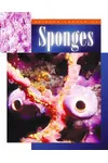 Sponges
