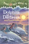 Dolphins at Daybreak