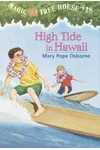 High Tide in Hawaii