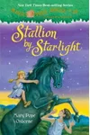 Stallion by Starlight