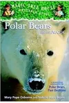 Polar Bears and the Arctic