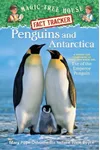 Penguins and Antarctica