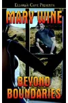 Beyond Boundaries