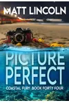 Picture Perfect