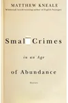Small Crimes in an Age of Abundance