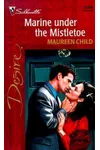 Marine Under the Mistletoe