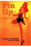 Pin-Up Poster Book: The Billy DeVorss Collection