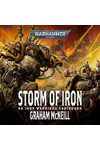 Storm of Iron