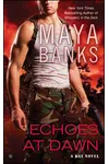 Echoes at Dawn