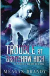 Trouble at Brayshaw High