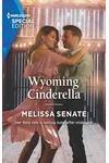 Wyoming Cinderella