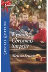 Wyoming Christmas Surprise