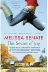 The Secret of Joy