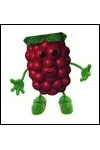 Blackberry Bart
