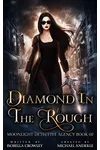 Diamond In The Rough