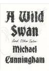 A Wild Swan: And Other Tales