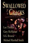 Swallowed by the Cracks