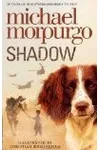 Shadow