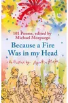 Because a Fire Was in My Head
