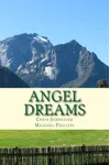 Cover of Angel Dreams