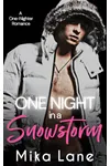 One Night in a Snowstorm
