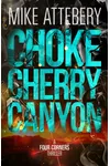Chokecherry Canyon