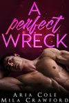 A Perfect Wreck