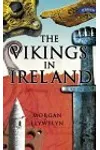 The Vikings in Ireland