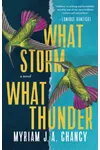 What Storm, What Thunder
