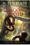 The Dragon's Tooth