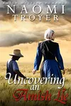 Uncovering an Amish Lie