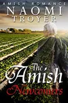 The Amish Newcomers