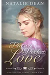 Picture Perfect Love