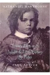 Twenty Days with Julian and Little Bunny by Papa